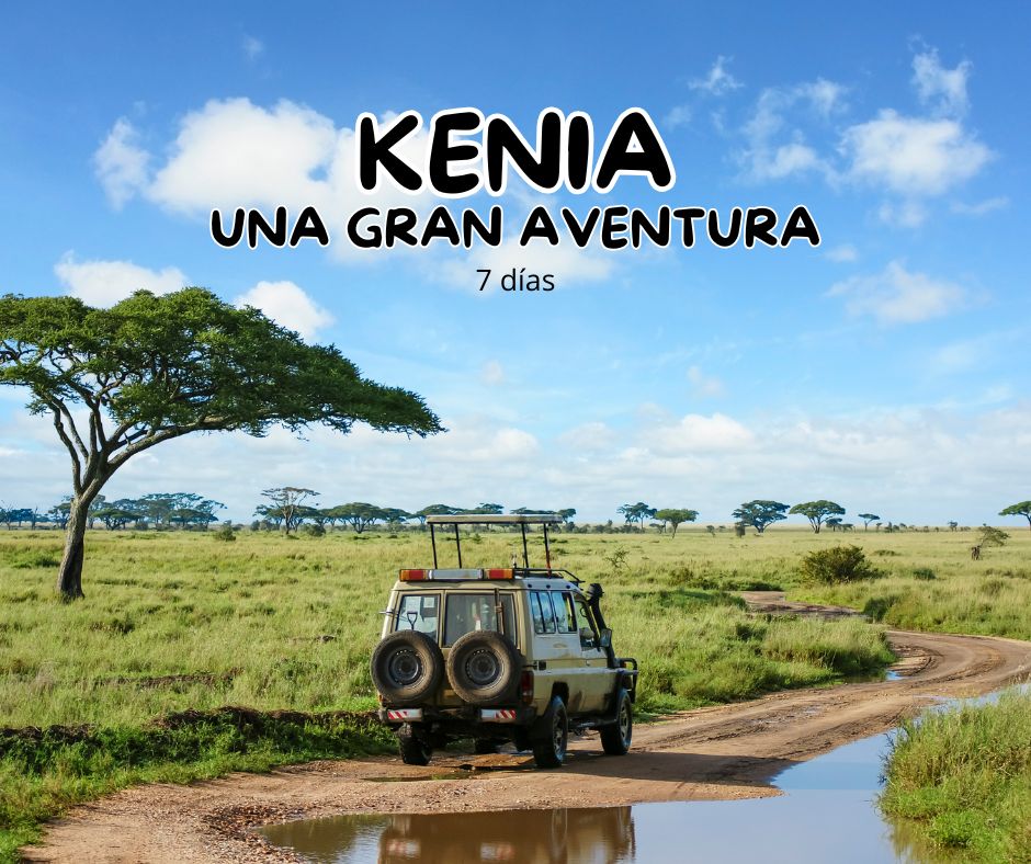 Kenia_vertice